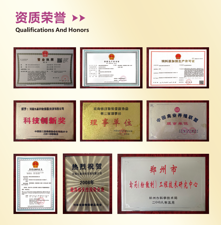 QQ截图20240226233148.png