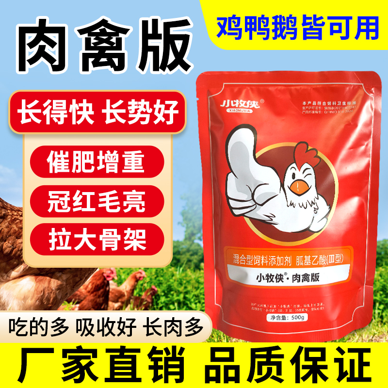 小牧侠肉禽版
