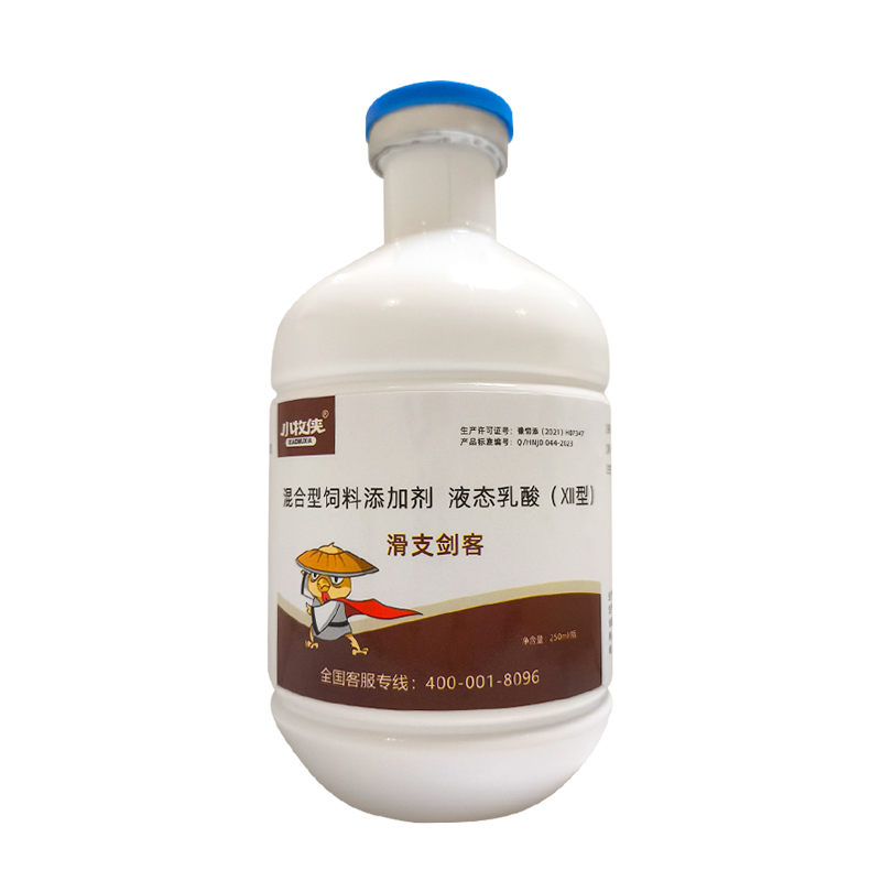 滑支剑客