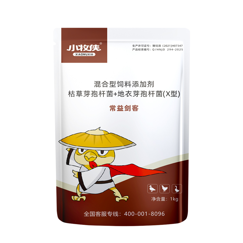 常益剑客